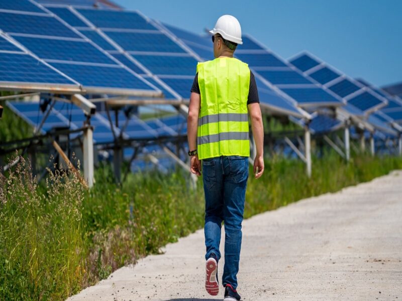 Green Jobs and Sustainability Careers