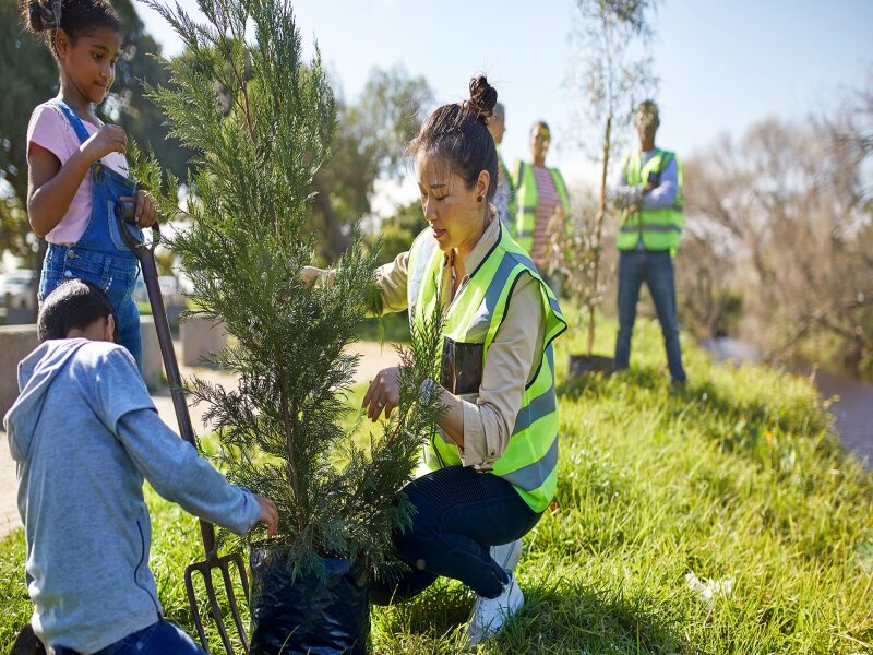Green Jobs and Sustainability Careers
