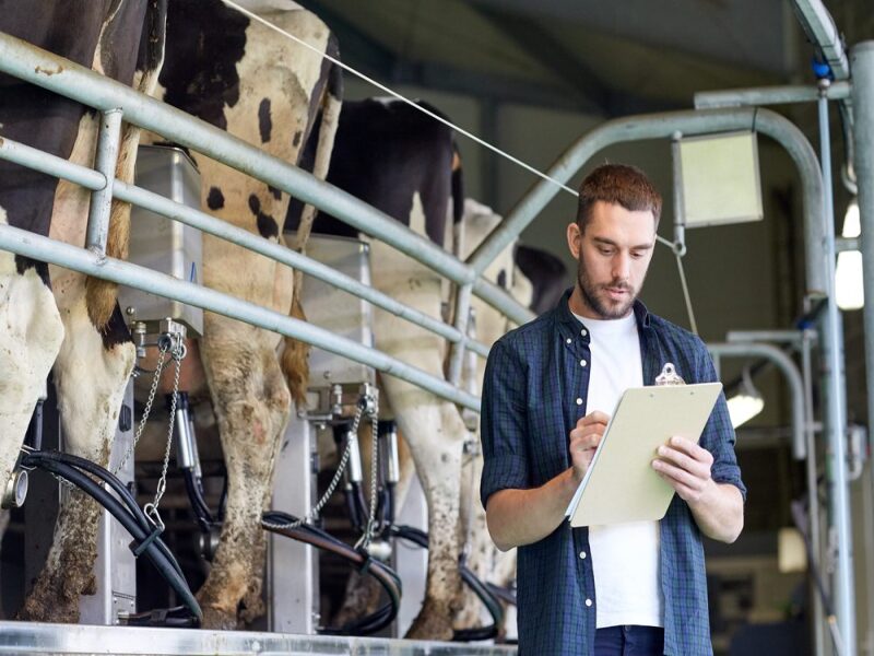 What is a livestock buyer education requirements