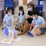 how are animals good for special education students